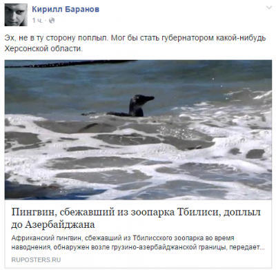 Прикрепленное изображение: пингвин.PNG